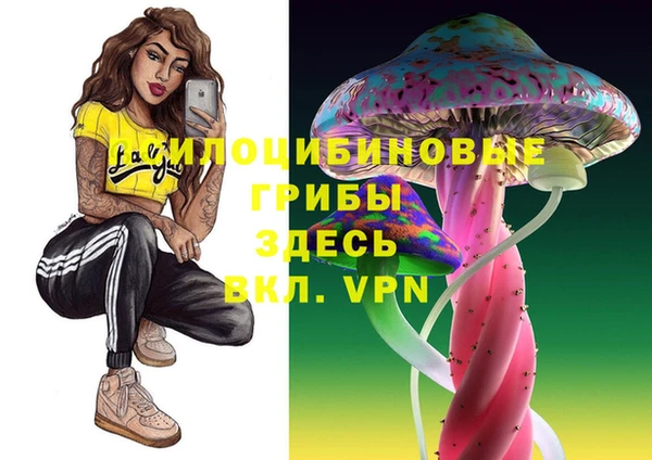 mdpv Алексин