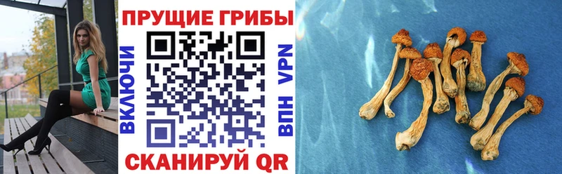 Псилоцибиновые грибы мухоморы  Чадан 